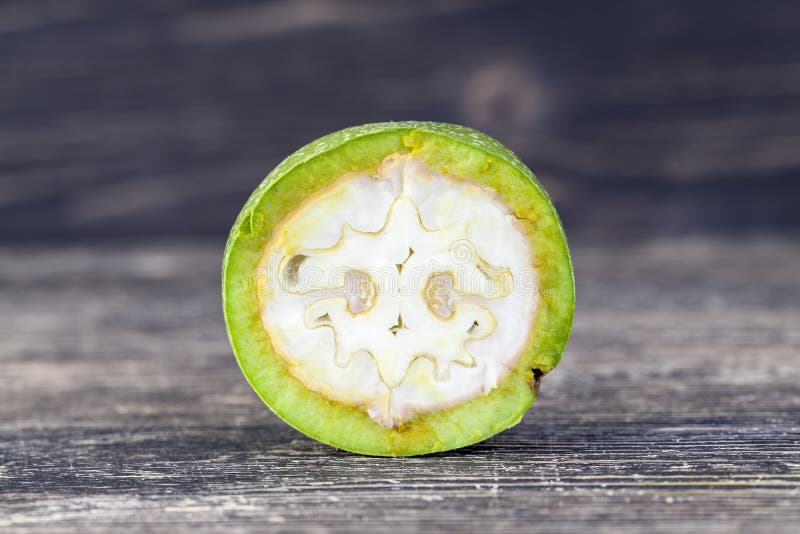 Green walnut royalty free stock photography