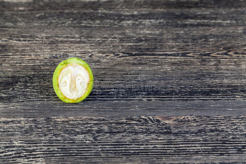 Green walnut stock photography