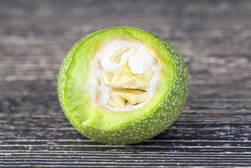 Green walnut stock image