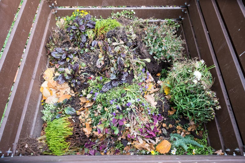 Green waste as compost stock photo. Image of faded, recycling 64277766