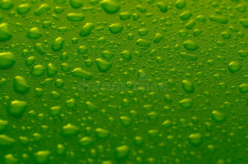 Green water drops