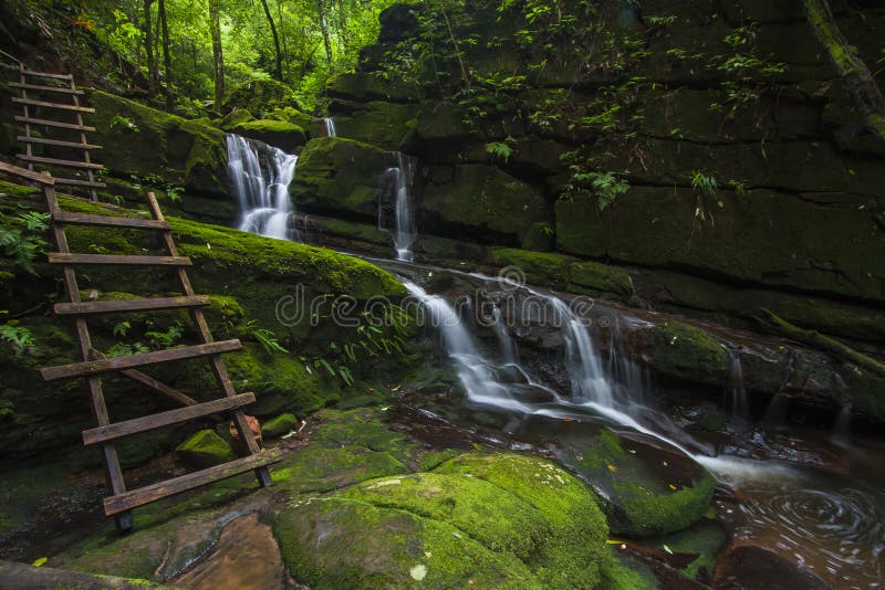 Green Water Fall