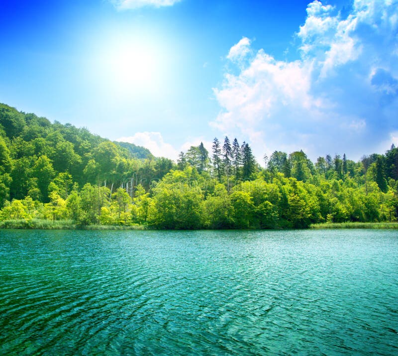 Green water lake stock image. Image of croatia, forest 7723581