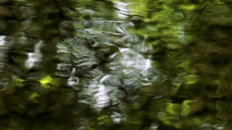 Green water reflections