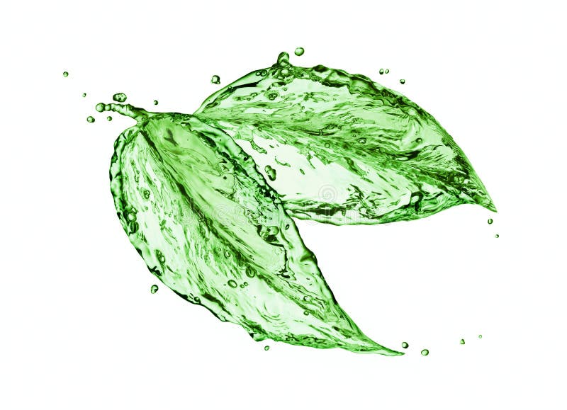 Green water splash leaves