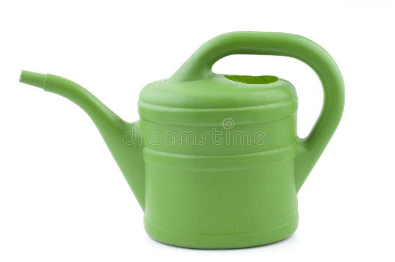 Green Watering Can in a Garden with Blooming Flowers in the Summer