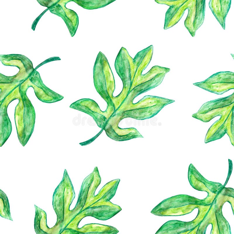 Green Watermelon Leaf Seamless Pattern on White Background, Botanic