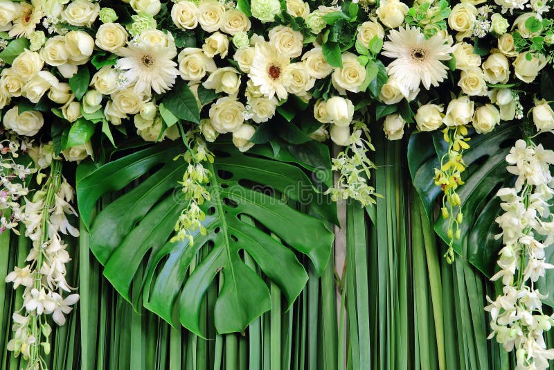 White and Green Backdrop Flowers Stock Image Image of bloom, flower