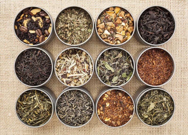 Green, white, black and herbal tea stock photography