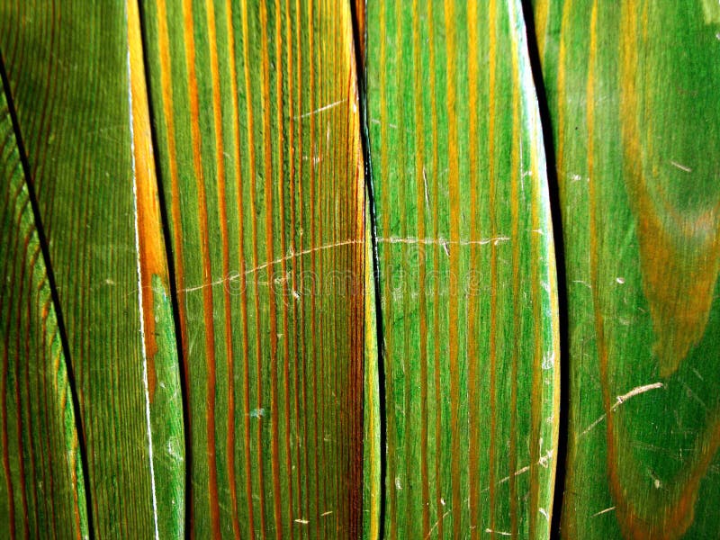 Green wood texture