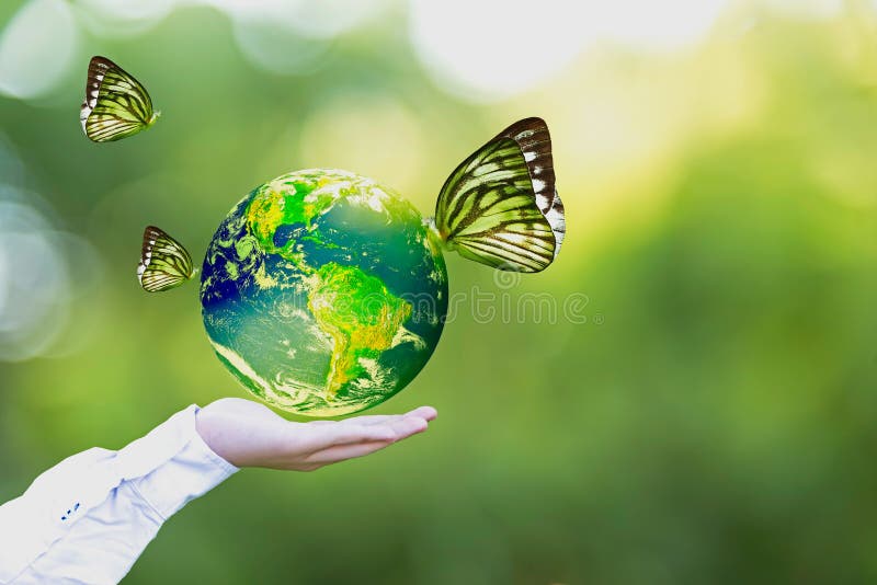 Green world and butterfly in man hand, green background