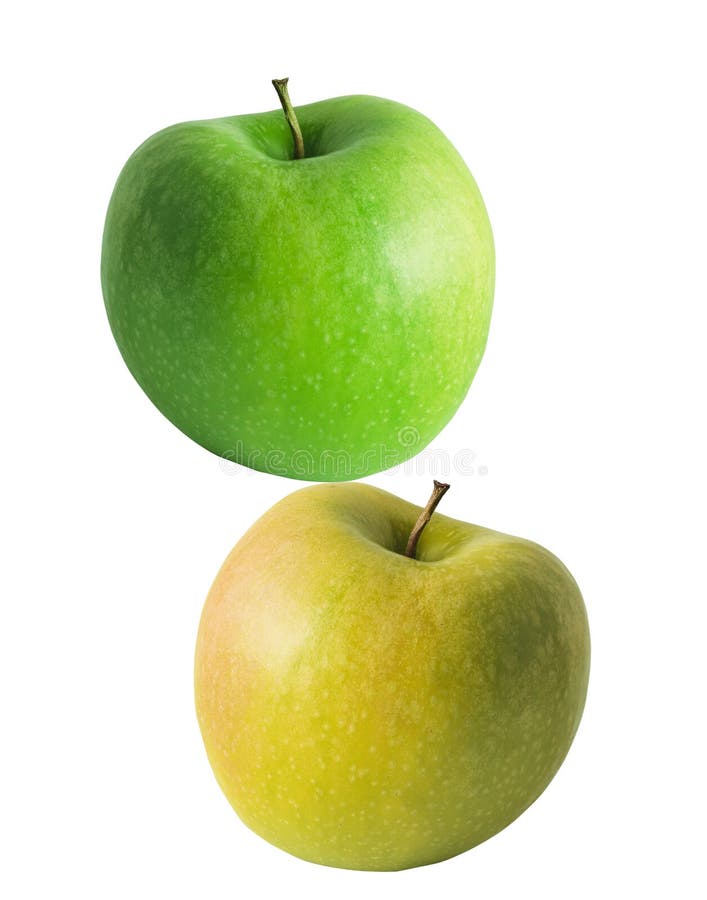 Green and yellow apples stock photo. Image of leaf, food 61791252