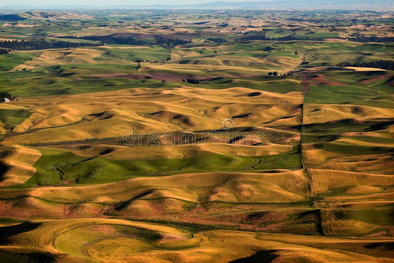 Green Yellow Fields Farms Palouse Washington Stock Image Image of