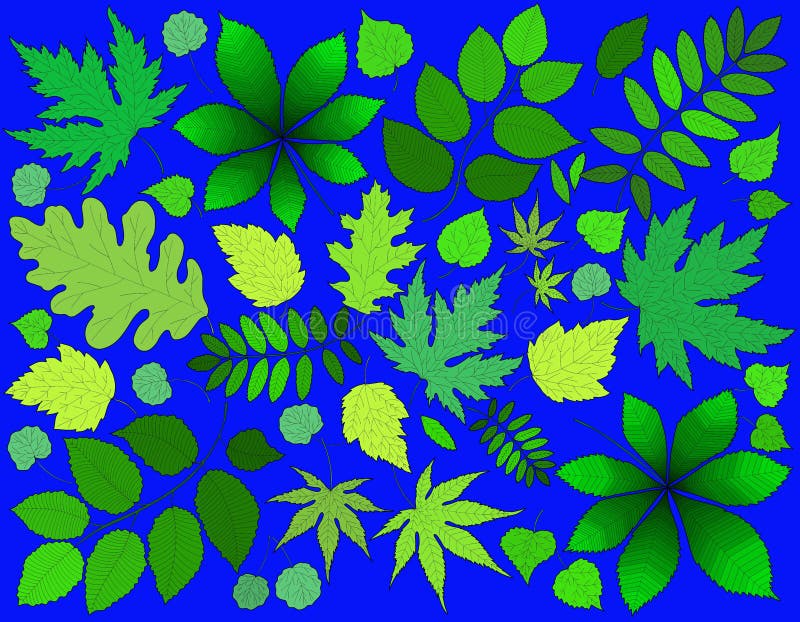 Green and yellow leaves on a bright blue background.