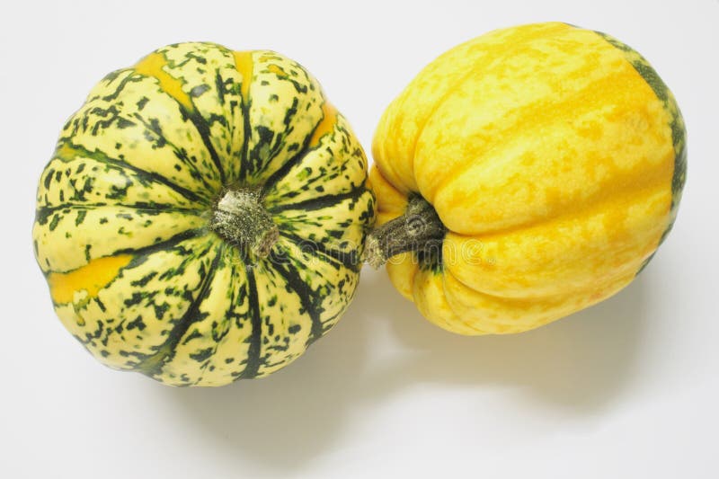 Green and yellow ornamental squashes