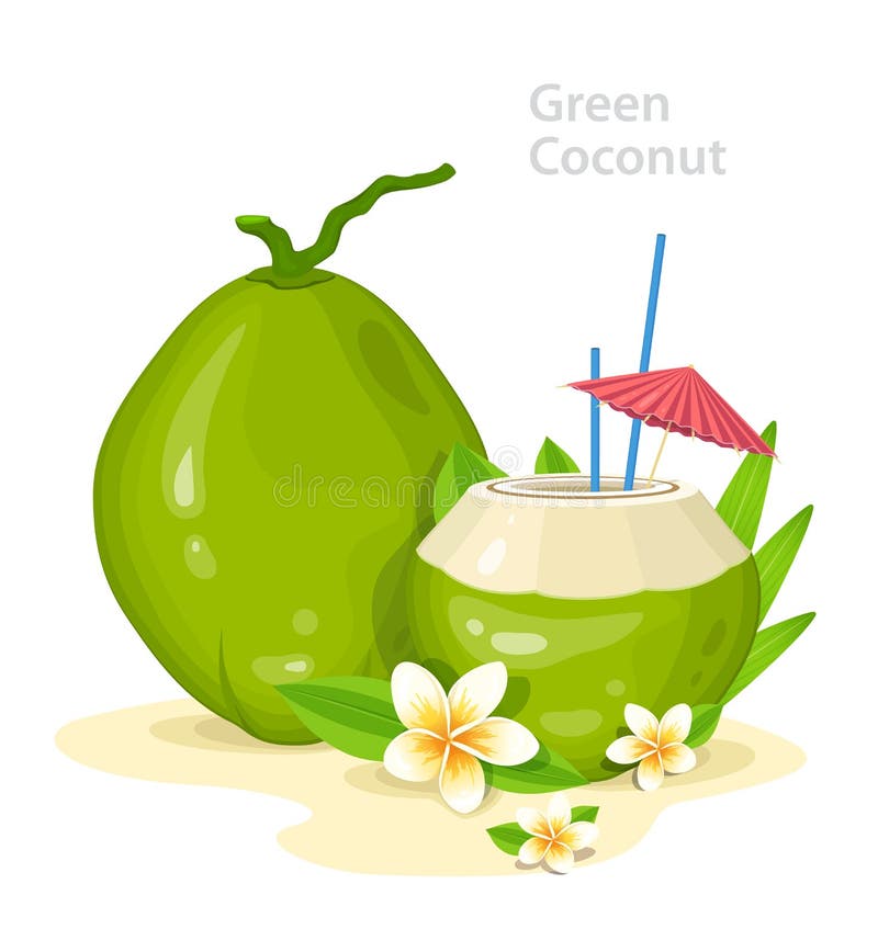 Green Young Coconuts. Fresh Coconut Cocktail with Plumeria Flowers, straws and Umbrella. Summer Time Vacation Attribute