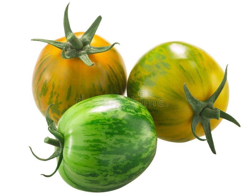 Green Zebra Heirloom Tomatoes Isolated Stock Image Image of three