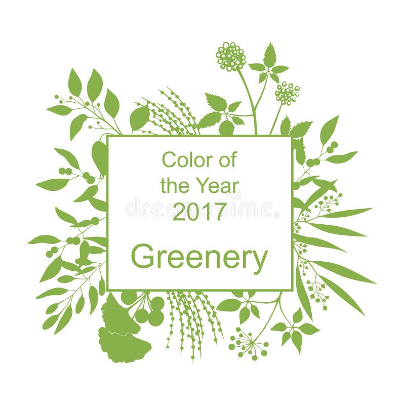 Color of the year 2017. Greenery trendy background with frame and silhouette of branches on white. Color of the year 2017. Greenery trendy background with frame and silhouette of branches on white