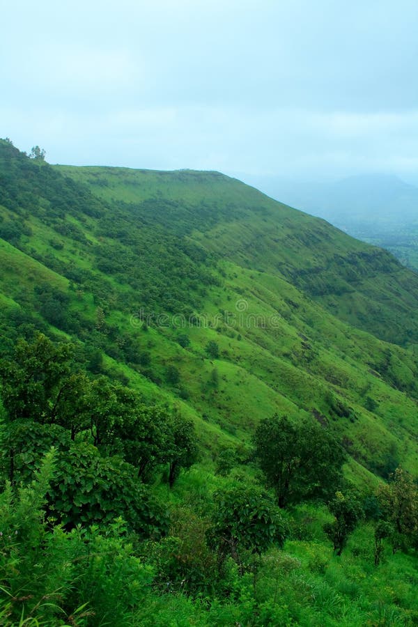 Greenery on Mount Ajinkyatara