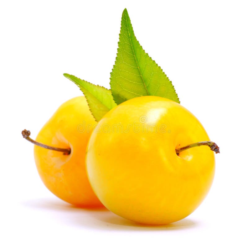 Yellow plum stock image. Image of food, plum, fruit, yellow 19608287
