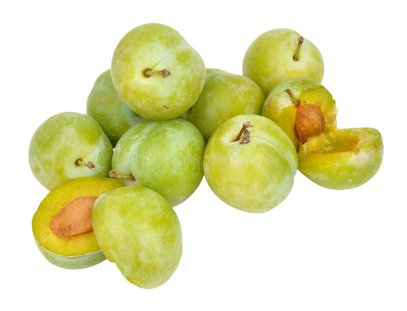 Greengage Plums stock image. Image of white, ripe, plums 59709437