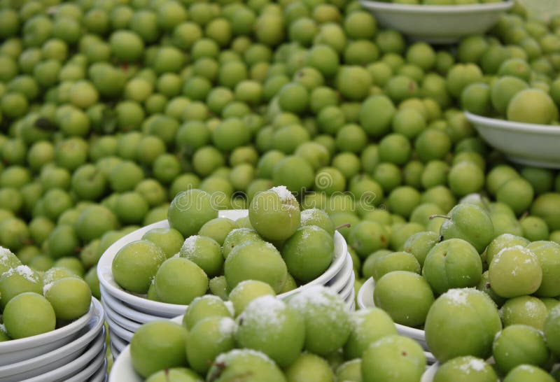 Greengage Plums stock image. Image of green, food, natural 40189249