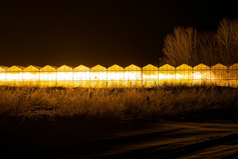 Greenhouse Amarillo Resplandeciente De Noche Imagen de archivo Imagen de oscuro, amarillo