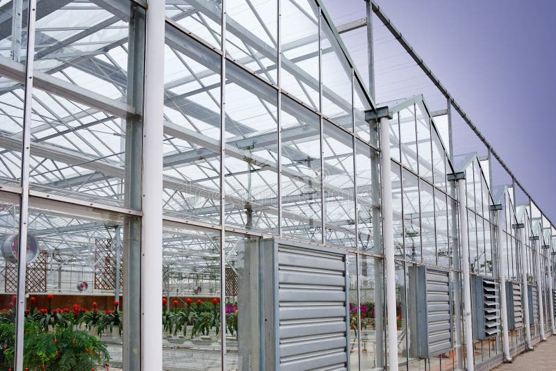 Greenhouse for flowers
