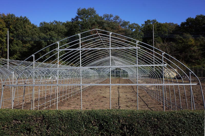 Greenhouse Frame? Cultivation Prep. The photo focuses on the metal frame itself, leaving the viewer to imagine the future use of the structure. A metal frame structure with arched supports, likely intended for use as a greenhouse or garden enclosure. A series of metal arches connected by horizontal bars, creating a framework for a large-scale cultivation project. The metal structure stands tall against a backdrop of trees and a blue sky, ready to be covered and transformed into a protected growing space. A glimpse into the preparation for a bountiful harvest, with the metal frame hinting at the potential for lush greenery and flourishing plants. The metal arches create a geometric pattern against the natural surroundings, showcasing the human touch in creating a space for cultivation.