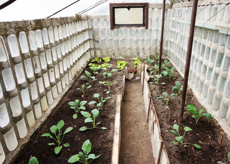 Greenhouse from Glass Bottles Stock Photo Image of europe, architecture 128213194