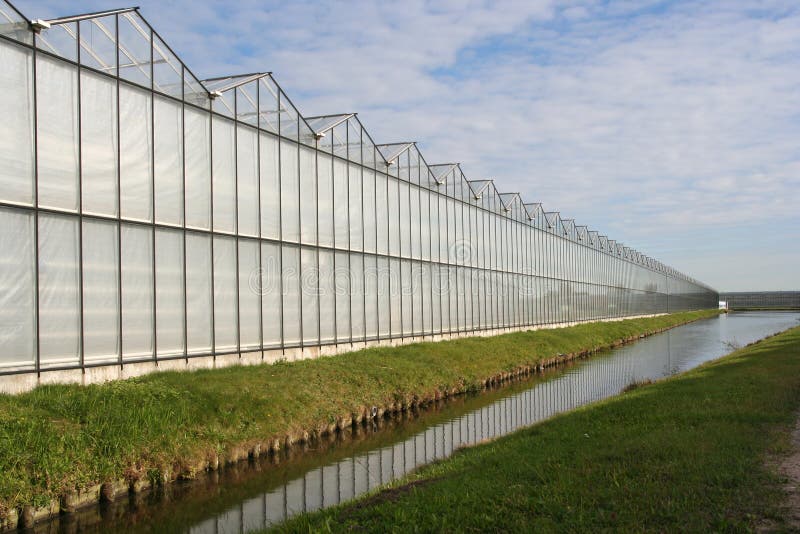 Greenhouse in Holland stock photo. Image of glass, crop 3596540