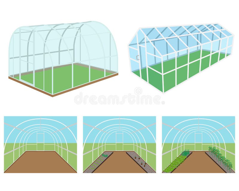 Inside Greenhouses Stock Illustrations – 22 Inside Greenhouses Stock ...