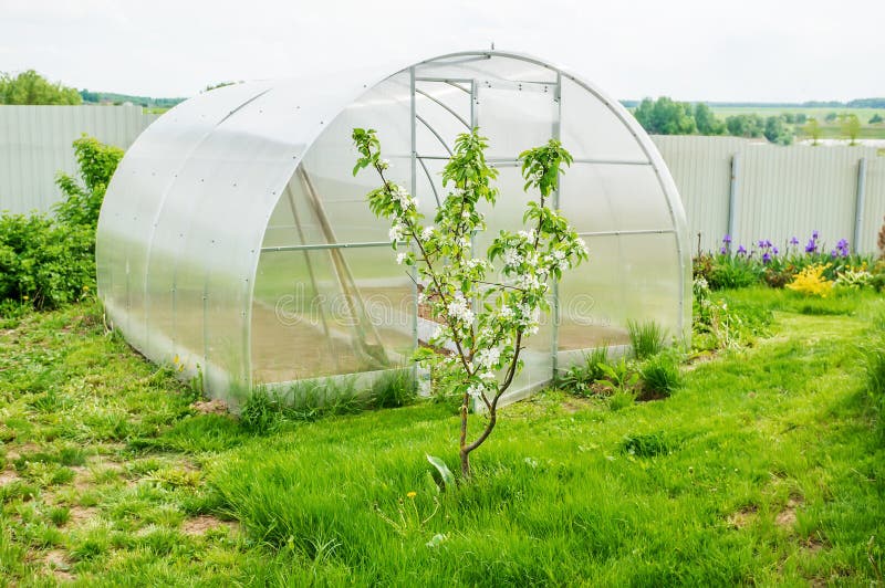 Greenhouse on a Small Farm with Plants in Spring. Greenhouse on the