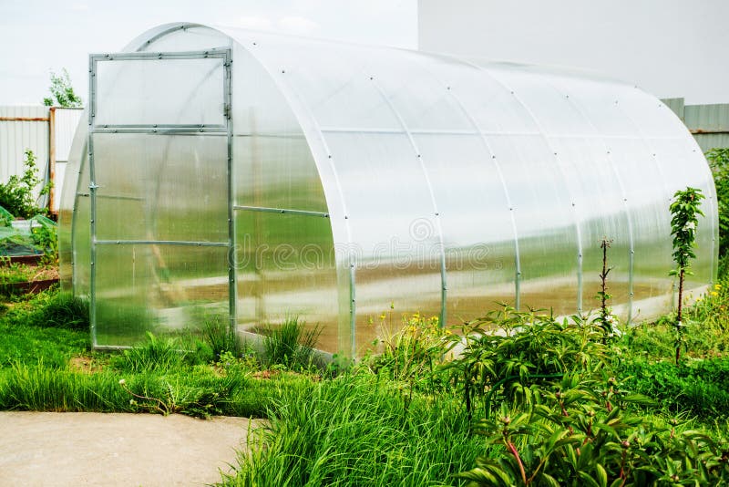Greenhouse on a Small Farm with Plants in Spring. Greenhouse on the