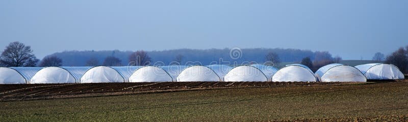 Greenhouse tunnel from polythene plastic on an agricultural field, panorama format. Greenhouse tunnel from polythene plastic on an agricultural field, long stock photos