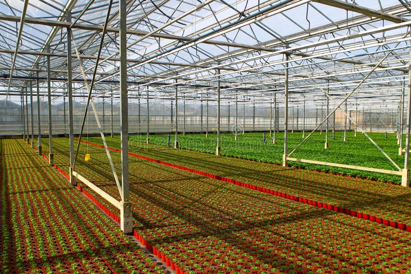 Greenhouses