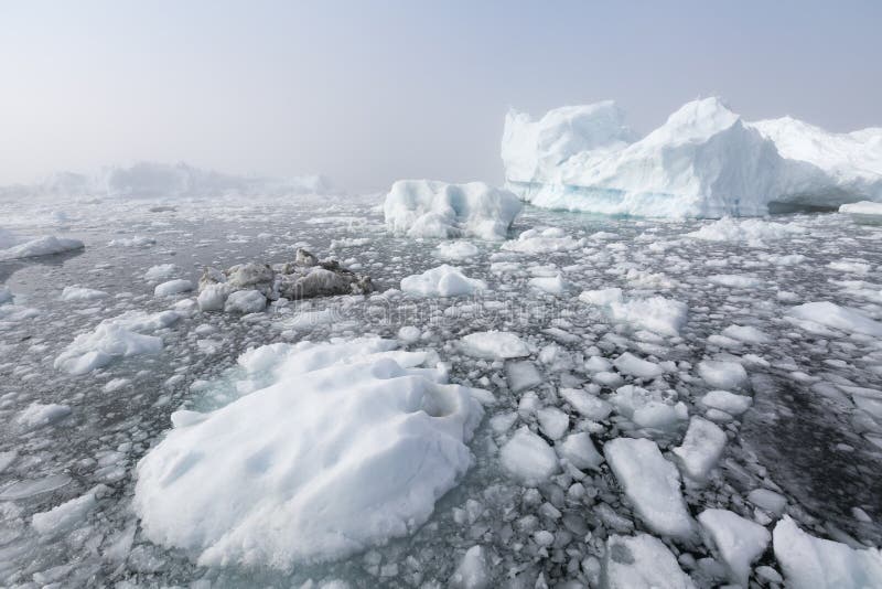 greenland photos libres de droits greenland photos libres de droits
