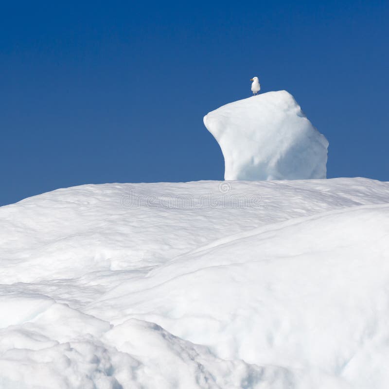 greenland photographie stock libre de droits greenland photographie stock libre de droits