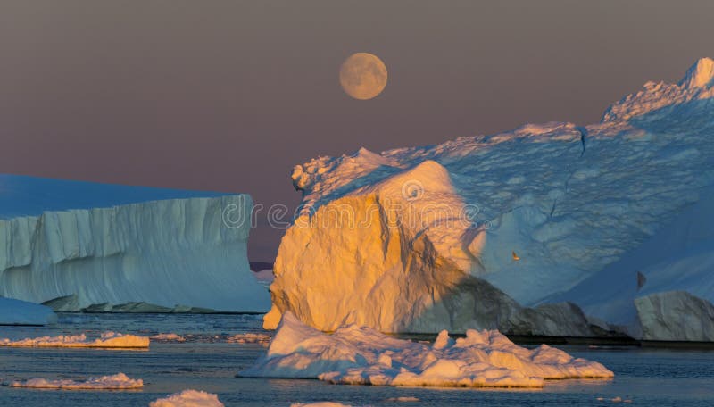 greenland fotografering för bildbyråer greenland fotografering för bildbyråer
