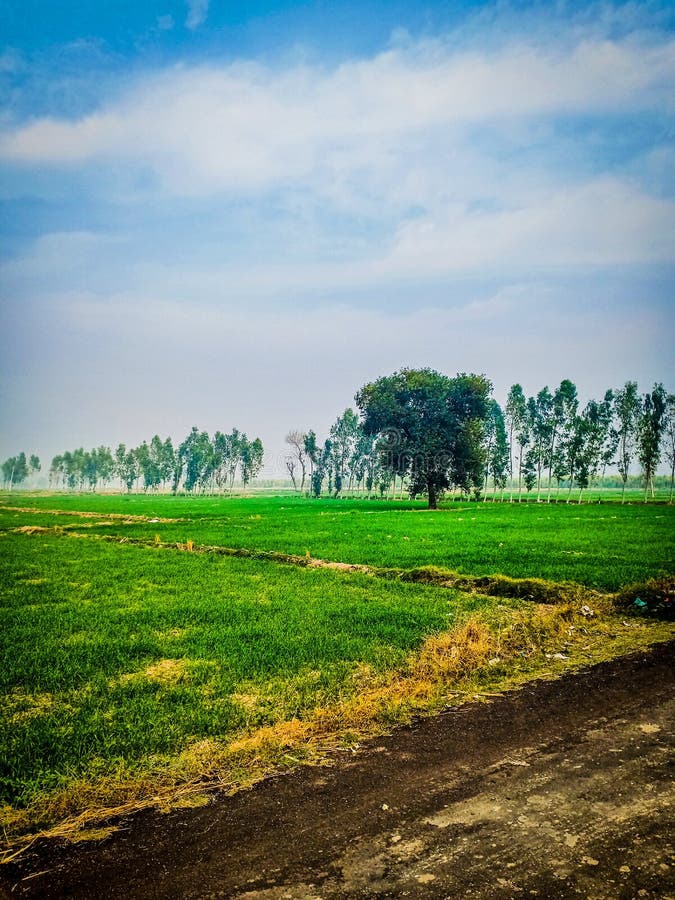 102 greenlands photos free royalty free stock photos from dreamstime dreamstime com