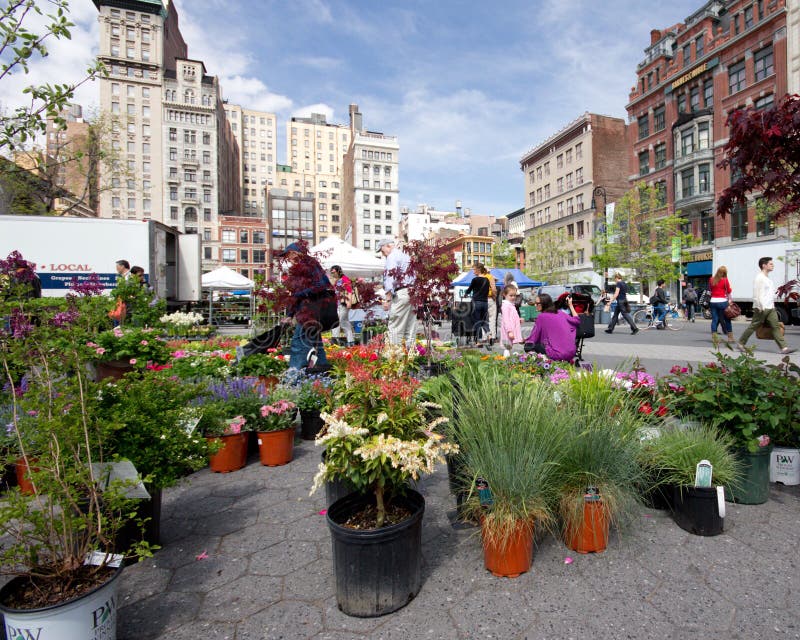 Greenmarket NYC editorial photo. Image of business, healthy 24424281