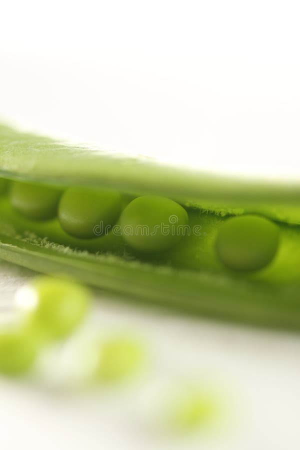 Greenpea imágenes de archivo libres de regalías Greenpea imágenes de archivo libres de regalías