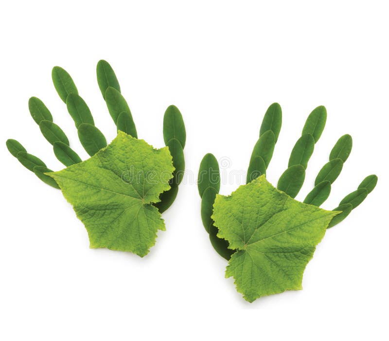 Greenpeace spring Ecological symbol hand of natu