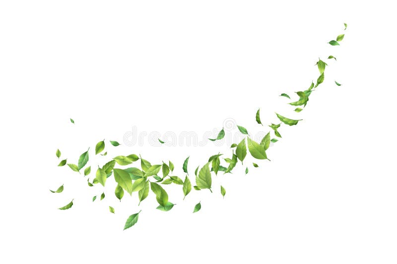Greens Leaf Whirling in the Wind Stock Vector Illustration of gust