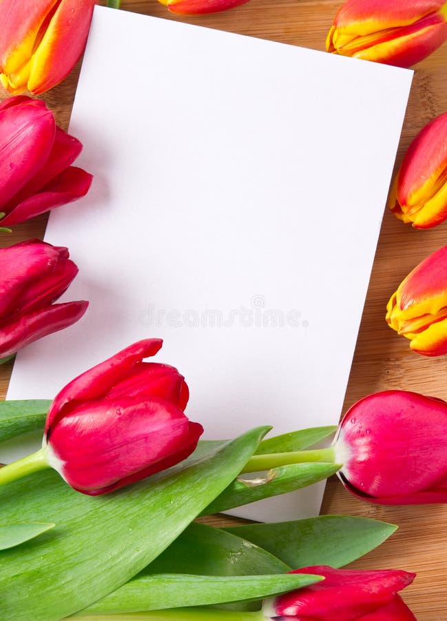 Greeting card stock image. Image of card, greeting, wood 23546243