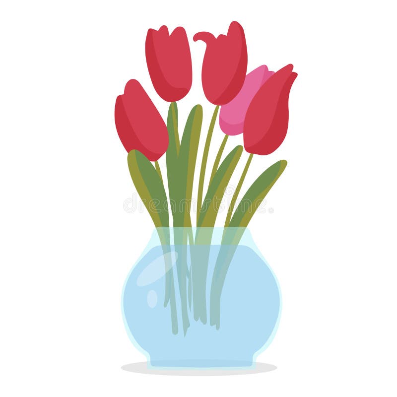 A greeting card. Bouquet of red tulips with leaves in a round glass vase. Isolated on a white background. Flowers are the best