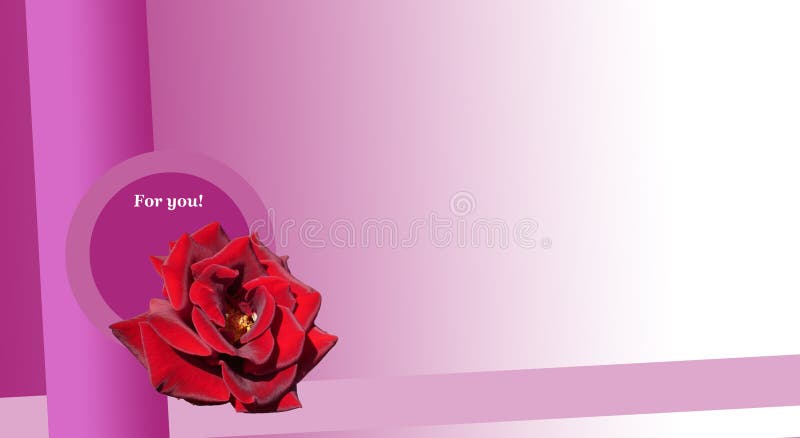 Greeting Card Happy Birthday, Wedding, Anniversary, Valentine Day. Red Rose  on a Purple Background. Illustration. Place Fo Text Stock Illustration -  Illustration of heart, place: 166298245