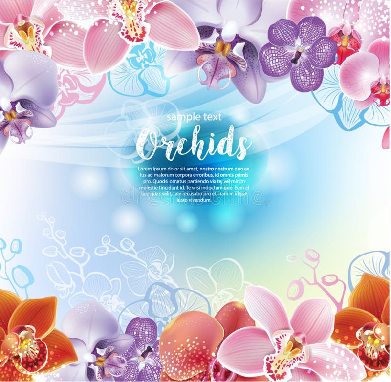 Greeting card with orchids flowers royalty free illustration Greeting card with orchids flowers royalty free illustration