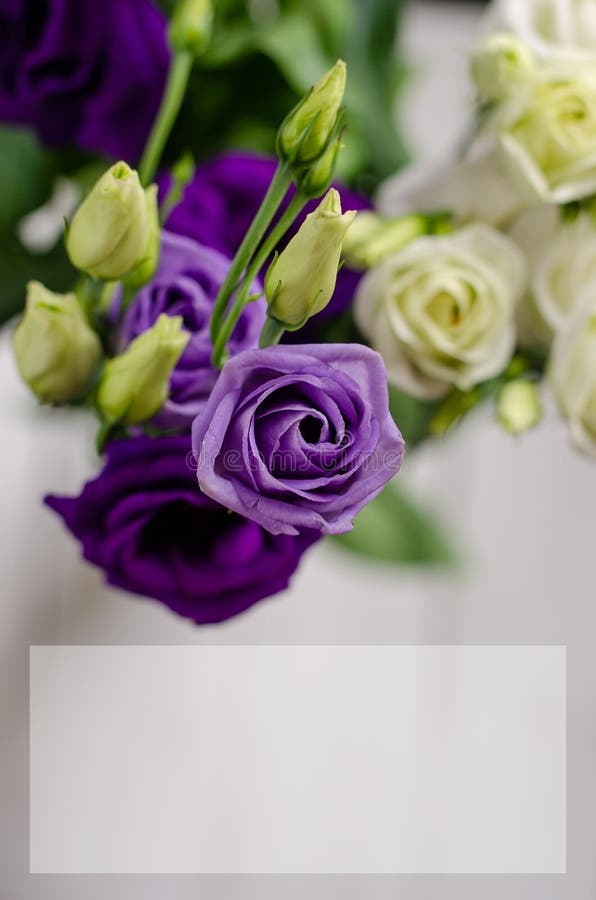 Greeting or invitation card template or mock up. Eustoma flowers with space for text. royalty free stock photos Greeting or invitation card template or mock up. Eustoma flowers with space for text. royalty free stock photos