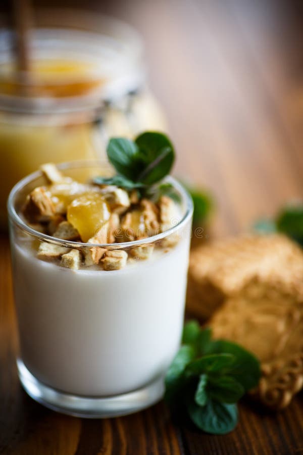 Grekisk yoghurt med honung och kex arkivfoton Grekisk yoghurt med honung och kex arkivfoton